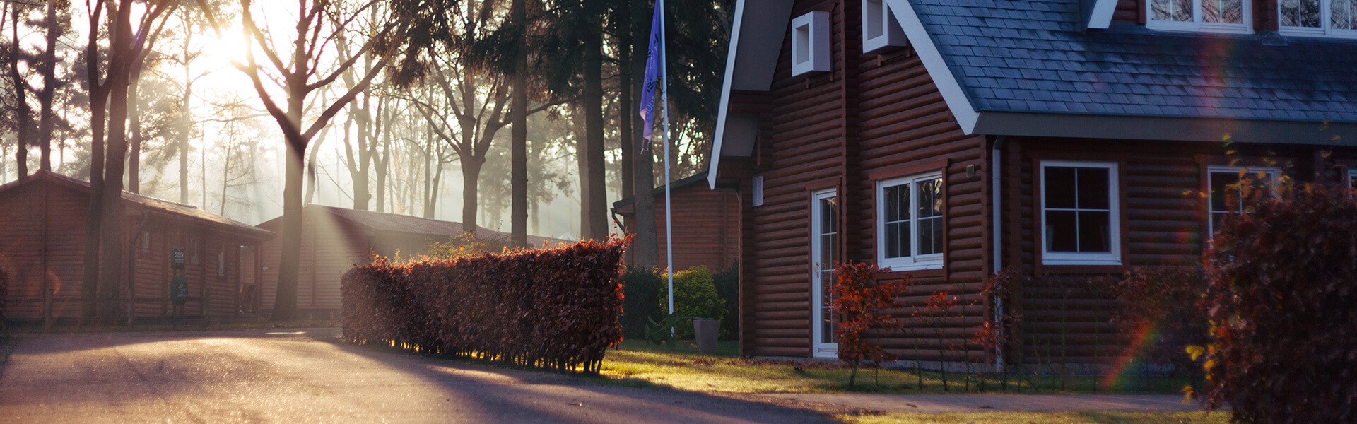 Blog Banner
